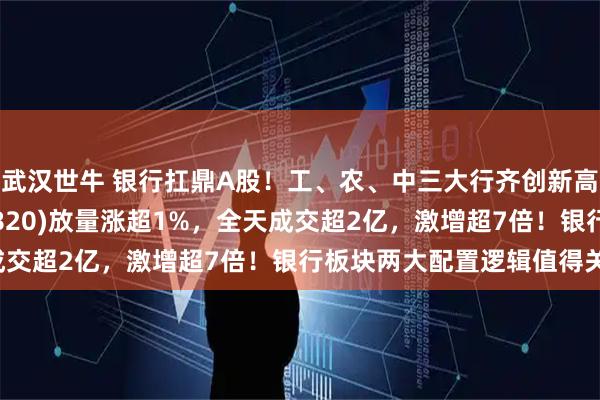 武汉世牛 银行扛鼎A股!工、农、中三大行齐创新高,银行ETF龙头(512820)放量涨超1%,全天成交超2亿,激增超7倍!银行板块两大配置逻辑值得关注!