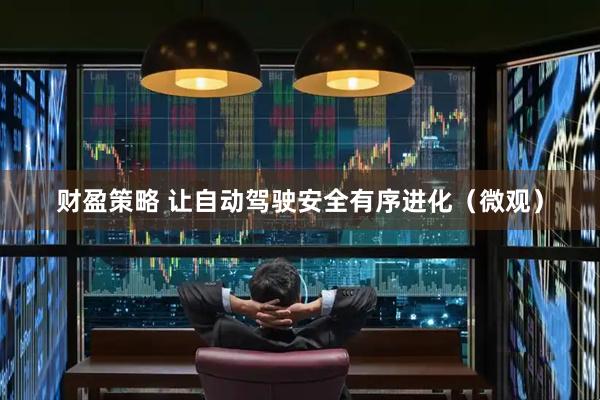 财盈策略 让自动驾驶安全有序进化(微观)